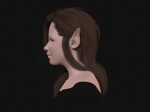 18Elf Hair2 3D Model