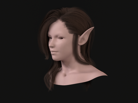 18Cheveux d'Elfe2 Modèle 3D