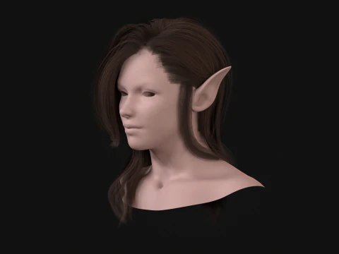 18Elf Hair2 3D Model