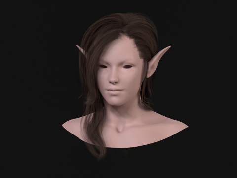 18Cheveux d'Elfe2 Modèle 3D