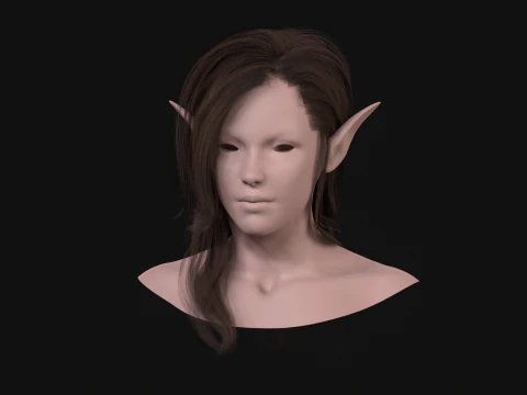 18Elf Hair2 3D Model
