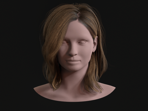 19OrtaSa&ccedil;1 3D Model