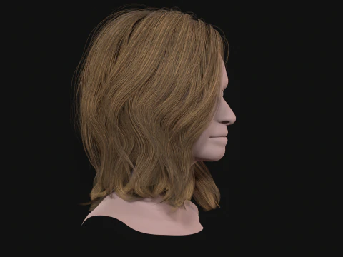 19MidHair1 3D Model