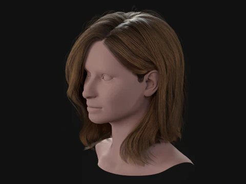 19MidHair1 3D Model