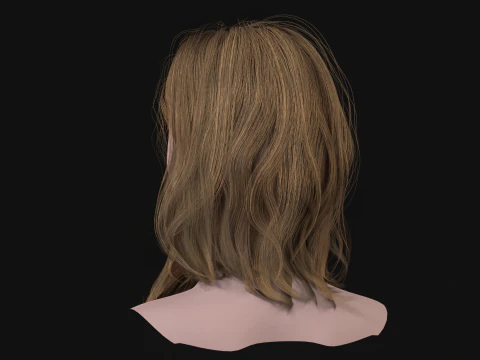 19MidHair1 3D Model