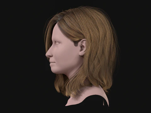 19MidHair1 3D Model