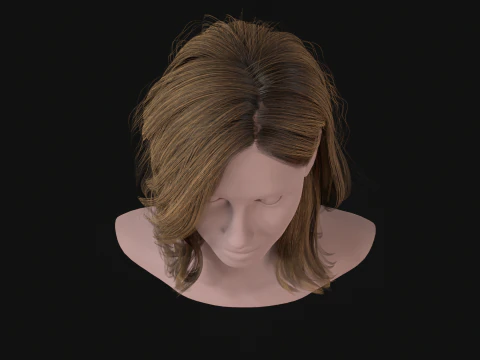 19MidHair1 3D Model