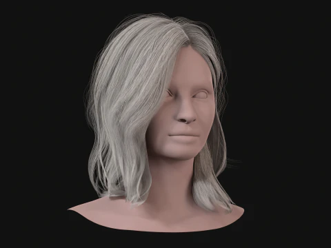 19MidHair1 3D Model