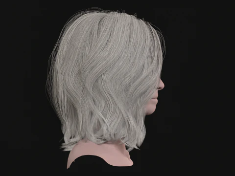 19MidHair1 3D Model