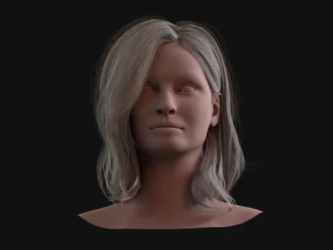 19MidHair1 3D Model