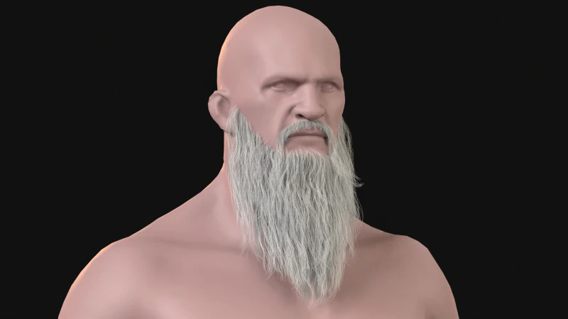 20Long Beard 3D Model .c4d .max .obj .3ds .fbx .stl .blend 