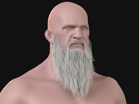 20Długa broda Model 3D