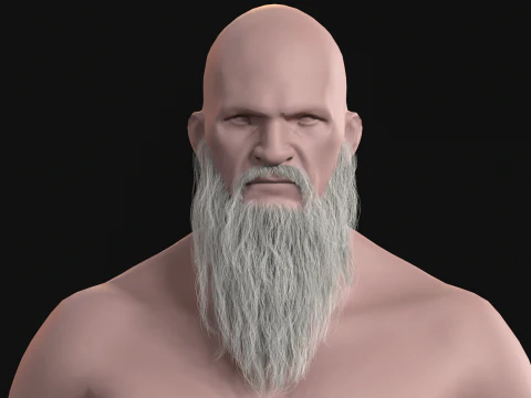 20Long Beard 3D Model