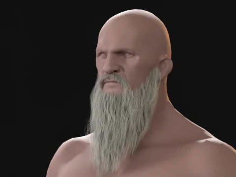 20Long Beard 3D Model