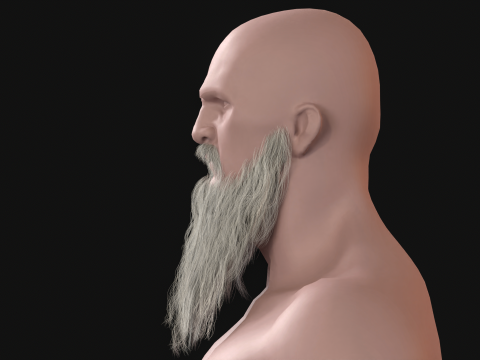 20Uzun Sakal 3D Model