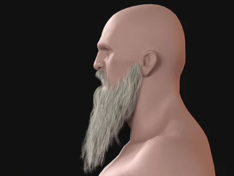 20Long Beard 3D Model