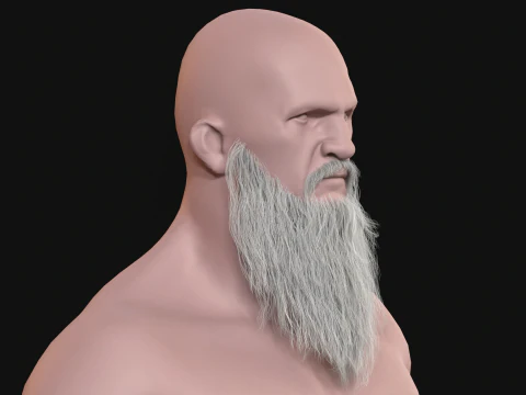 20Long Beard 3D Model