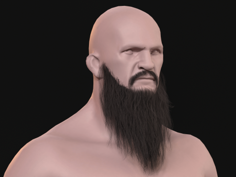 20Uzun Sakal 3D Model