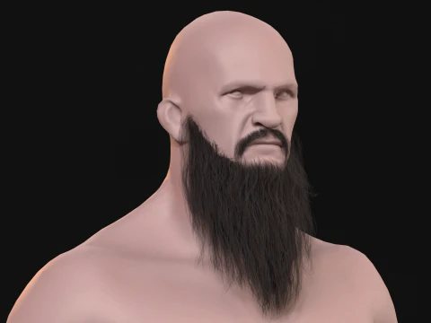 20Long Beard 3D Model