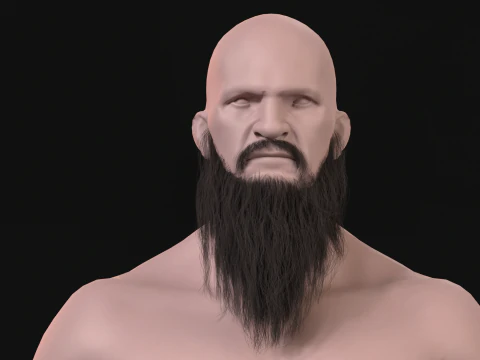 20Long Beard 3D Model
