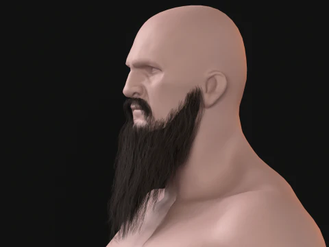 20Long Beard 3D Model