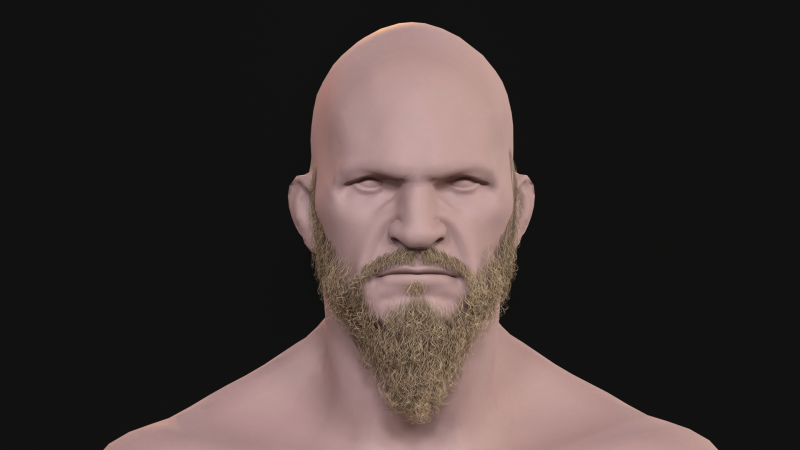 21Vikig'in sakalı 3D Model .c4d .max .obj .3ds .fbx .stl .blend 