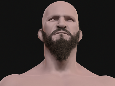 21Vikig'in sakalı 3D Model