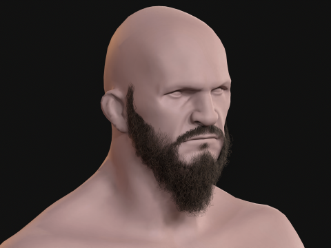 21Vikig'in sakalı 3D Model