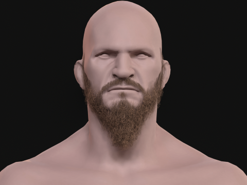 21Vikig'in sakalı 3D Model