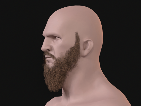 21Vikig'in sakalı 3D Model