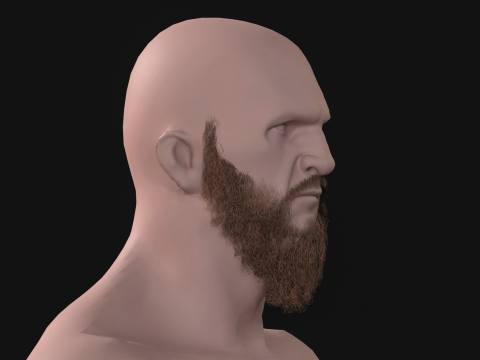 21Vikig'in sakalı 3D Model