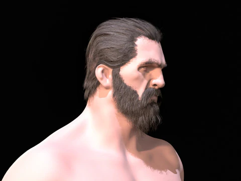 22WizardHair Beard Brows 3D Model