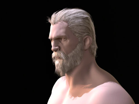 22WizardHair Beard Brows 3D Model