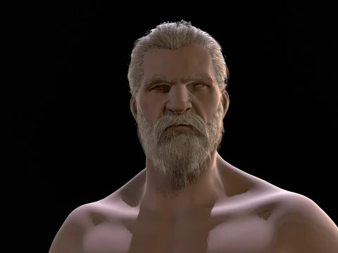 22WizardHair Beard Brows 3D Model