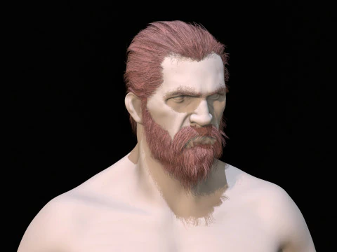 22WizardHair Beard Brows 3D Model