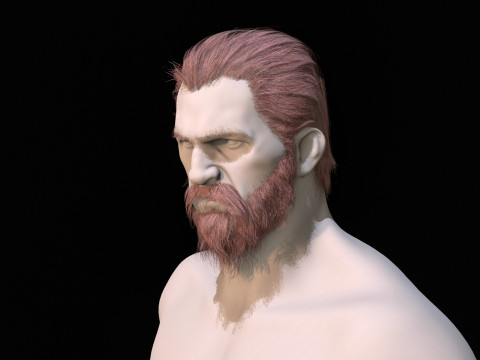 22Alis Jenggot WizardHair Model 3D