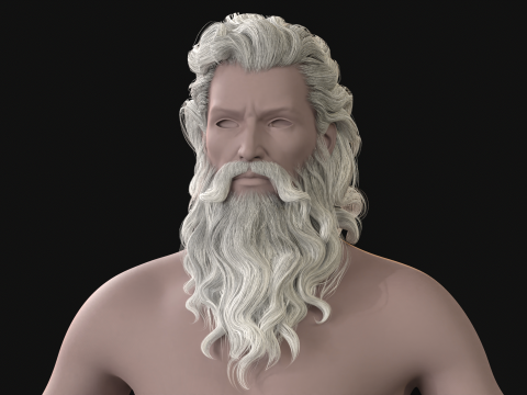 23Yaşlı Adamın Saçı ve Sakalı 3D Model