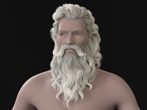 23늙은이의 머리카락과 수염 3D 모델
