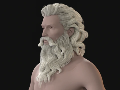 23OldMan Hair and Beard 3D Model