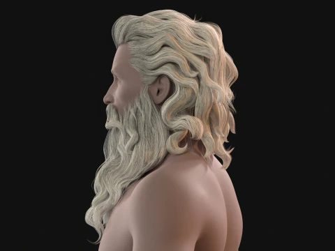 23OldMan Hair and Beard 3D Model
