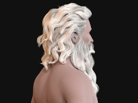 23OldMan Hair and Beard 3D Model