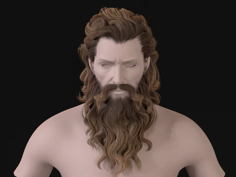 23OldMan Hair and Beard 3D Model