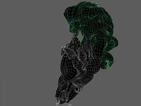 23OldMan Hair and Beard 3D Model