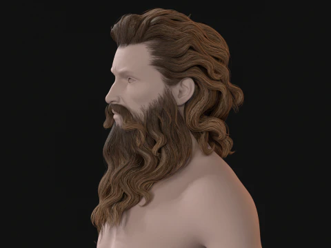 23OldMan Hair and Beard 3D Model