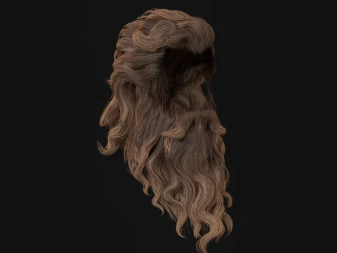 23OldMan Hair and Beard 3D Model