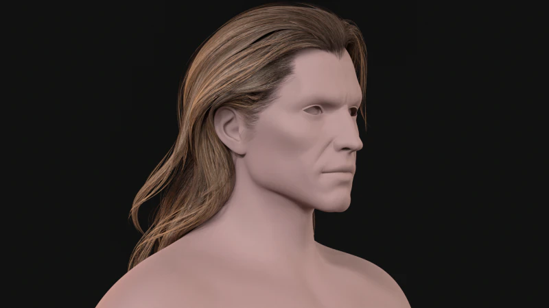 24LongManWoman Hair 3D Model .c4d .max .obj .3ds .fbx .stl .blend 