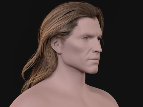 24Capelli lunghi da uomo e da donna Modello 3D