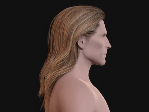 24LongManWoman Hair 3D Model
