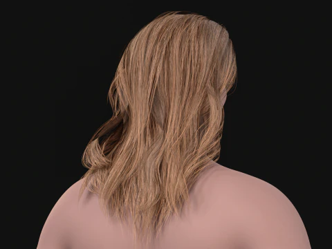 24LongManWoman Hair 3D Model