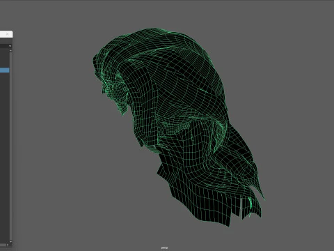 24LongManWoman Hair 3D Model
